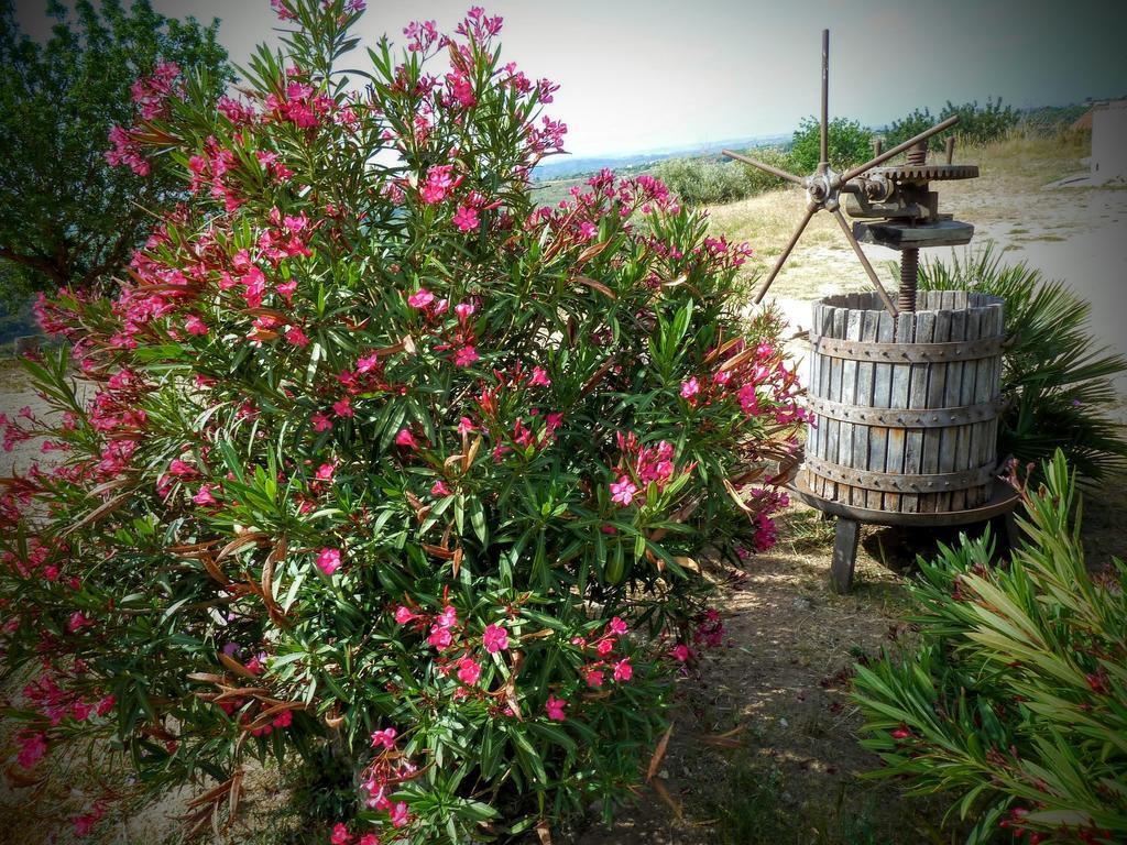 Вилла Agriturismo Timpa Del Sole Ното Экстерьер фото